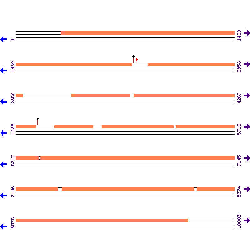 Genome View