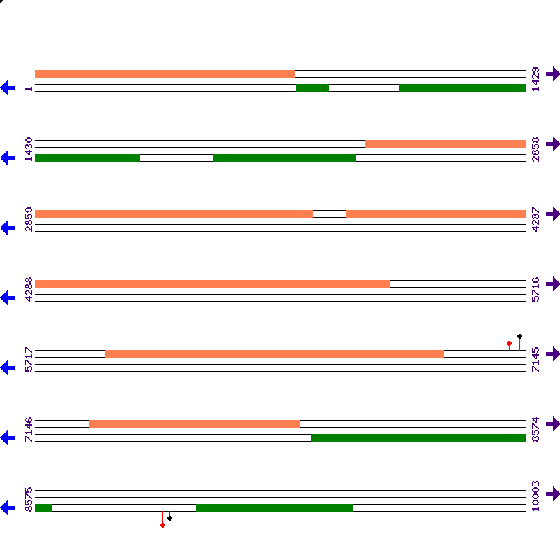 Genome View