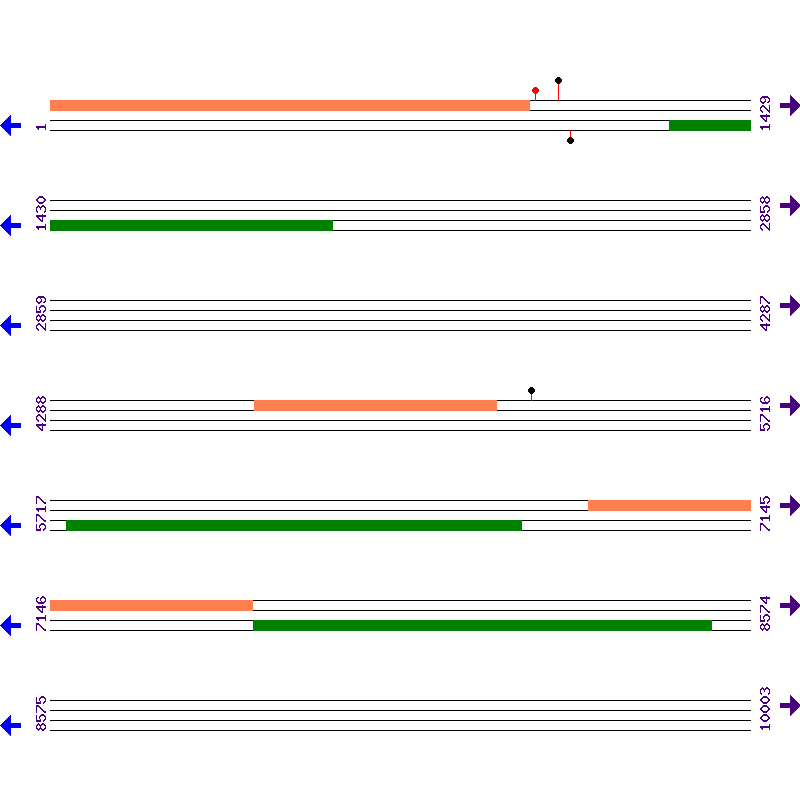 Genome View