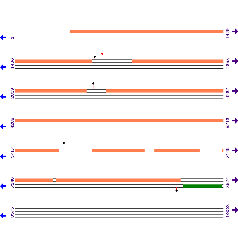 Genome View