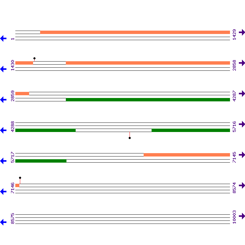 Genome View