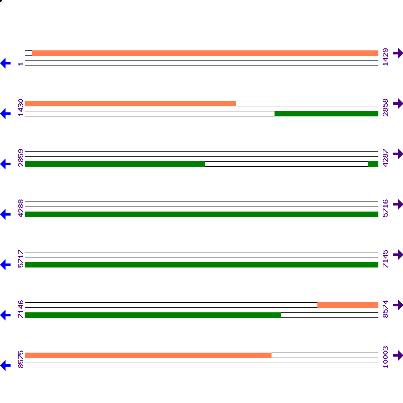 Genome View