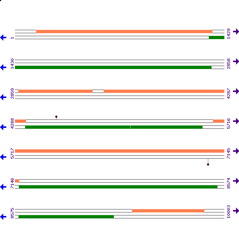 Genome View