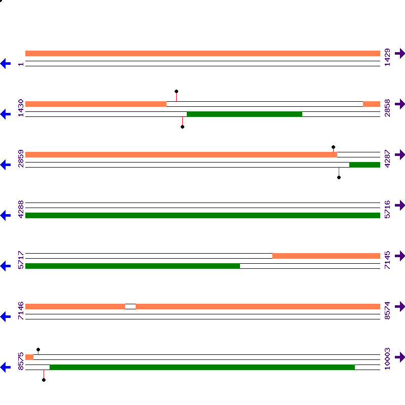 Genome View