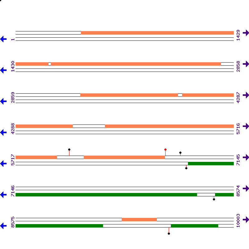 Genome View