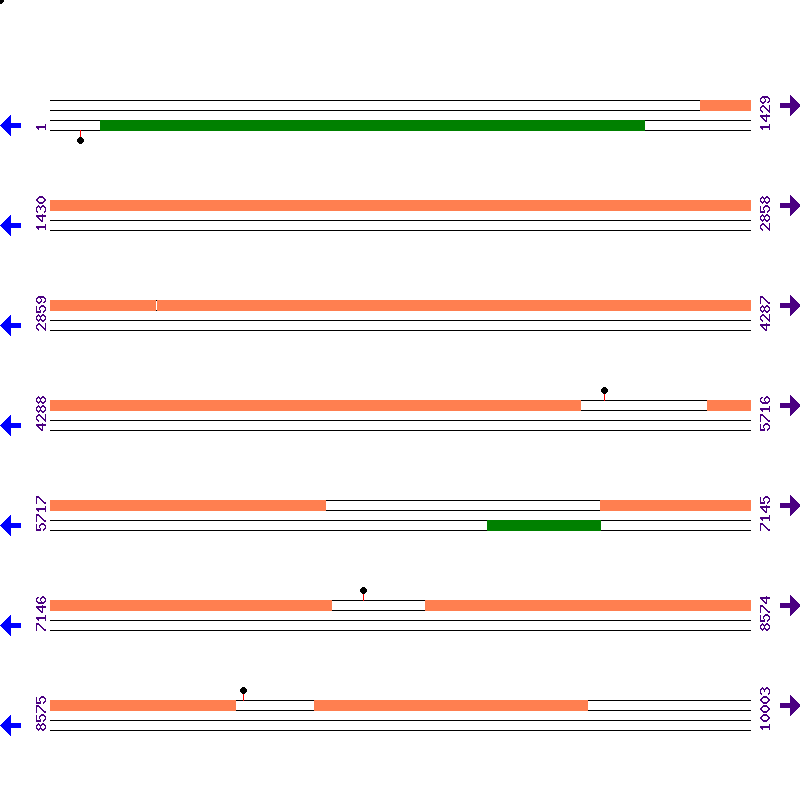Genome View