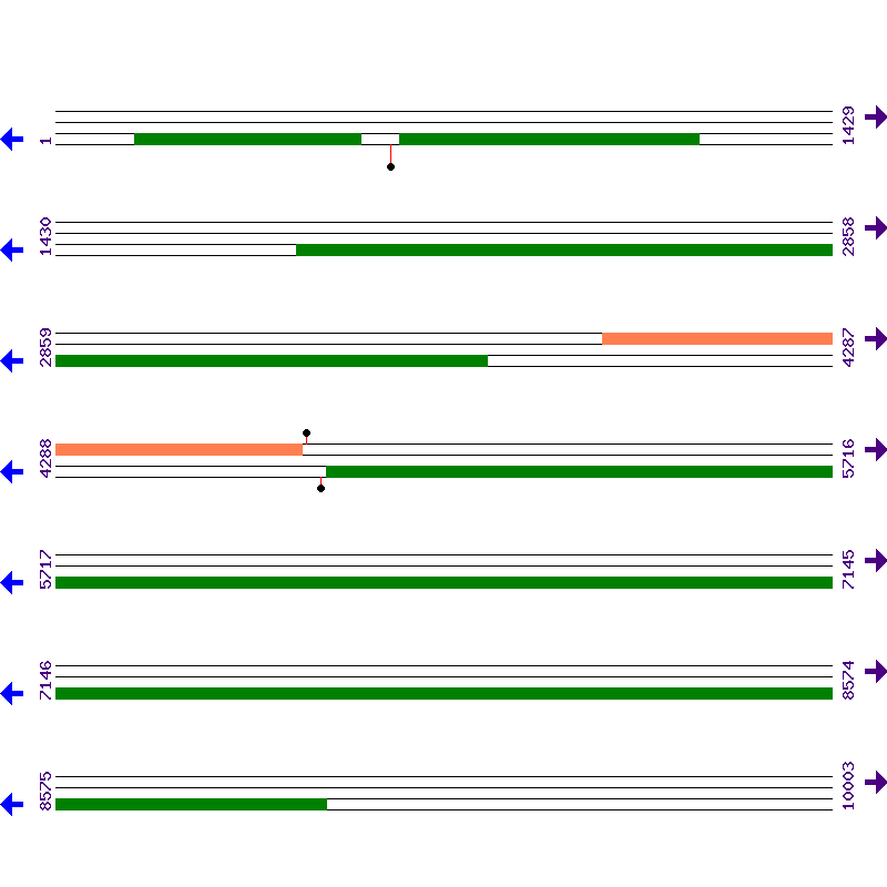 Genome View