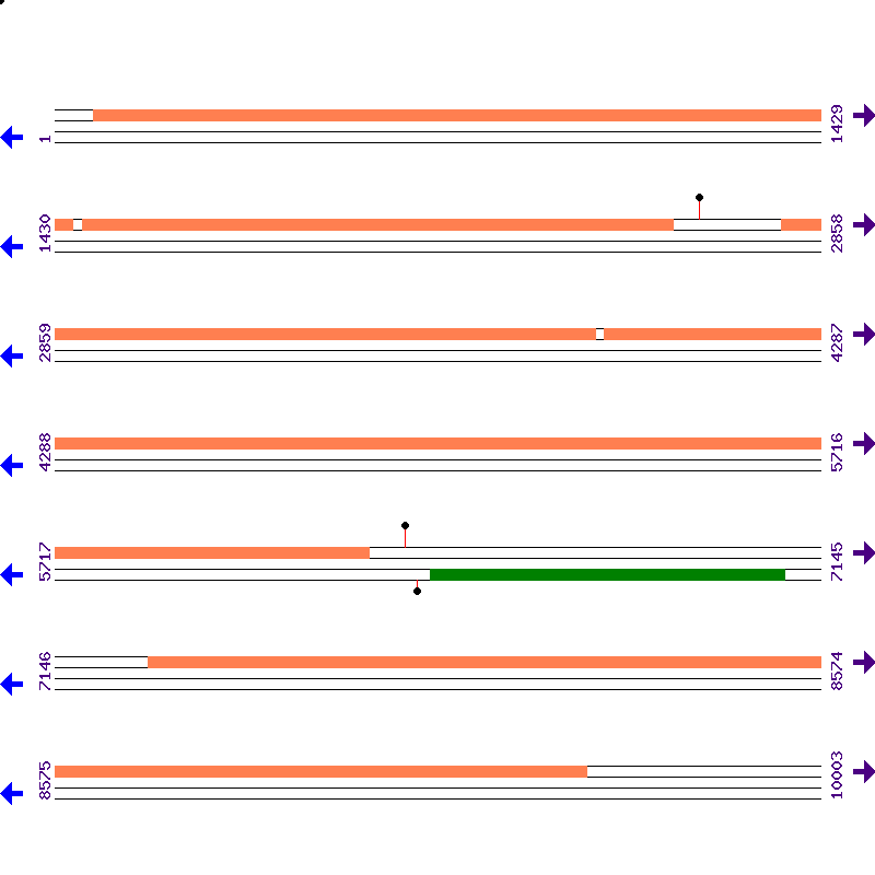 Genome View