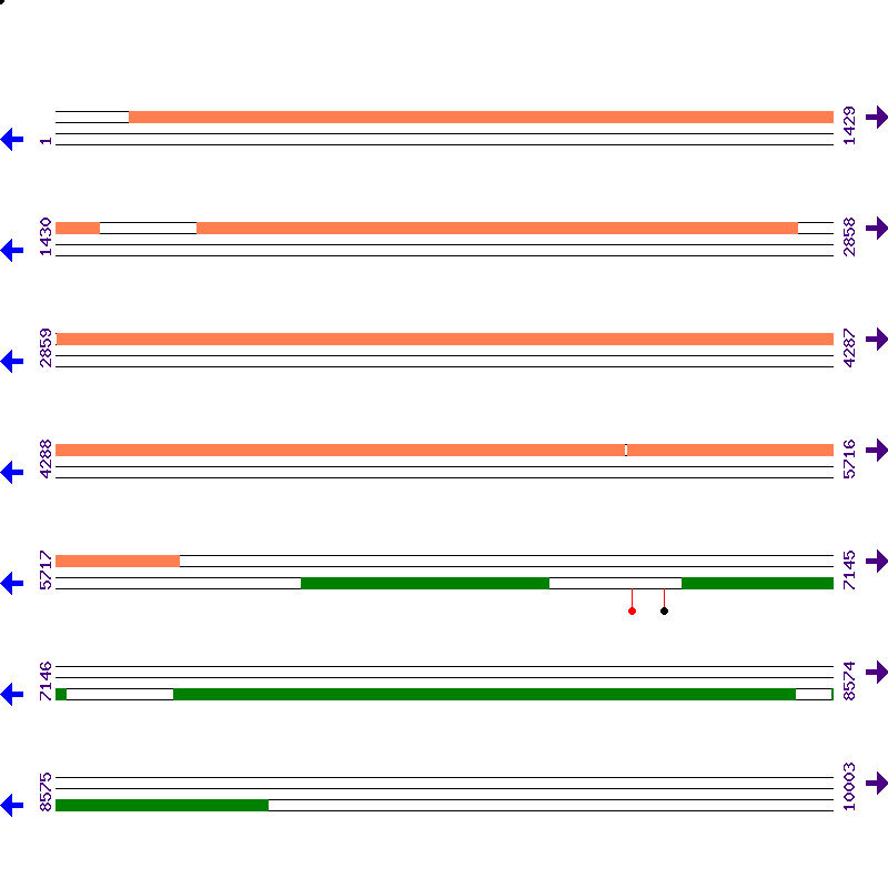 Genome View