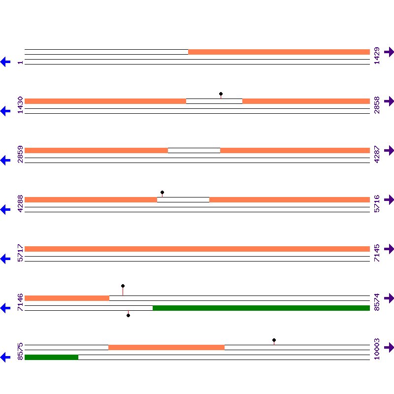 Genome View