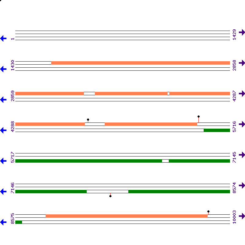 Genome View