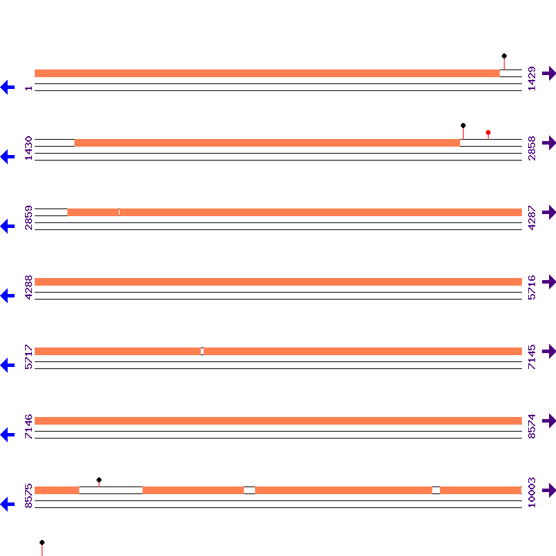 Genome View