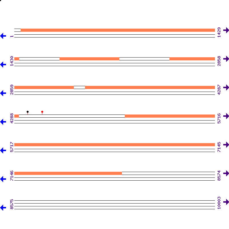 Genome View