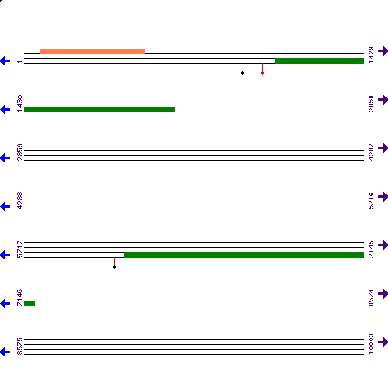 Genome View