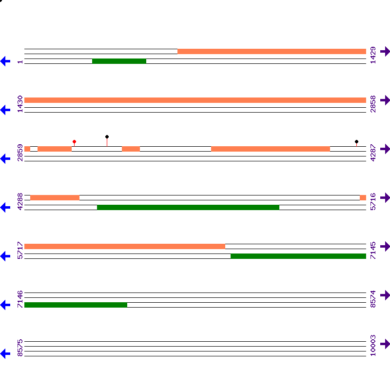Genome View