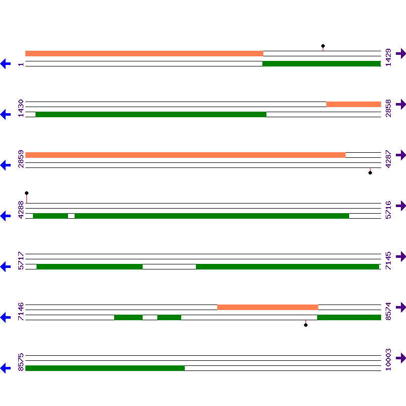 Genome View