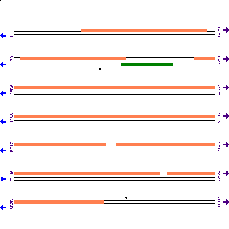 Genome View