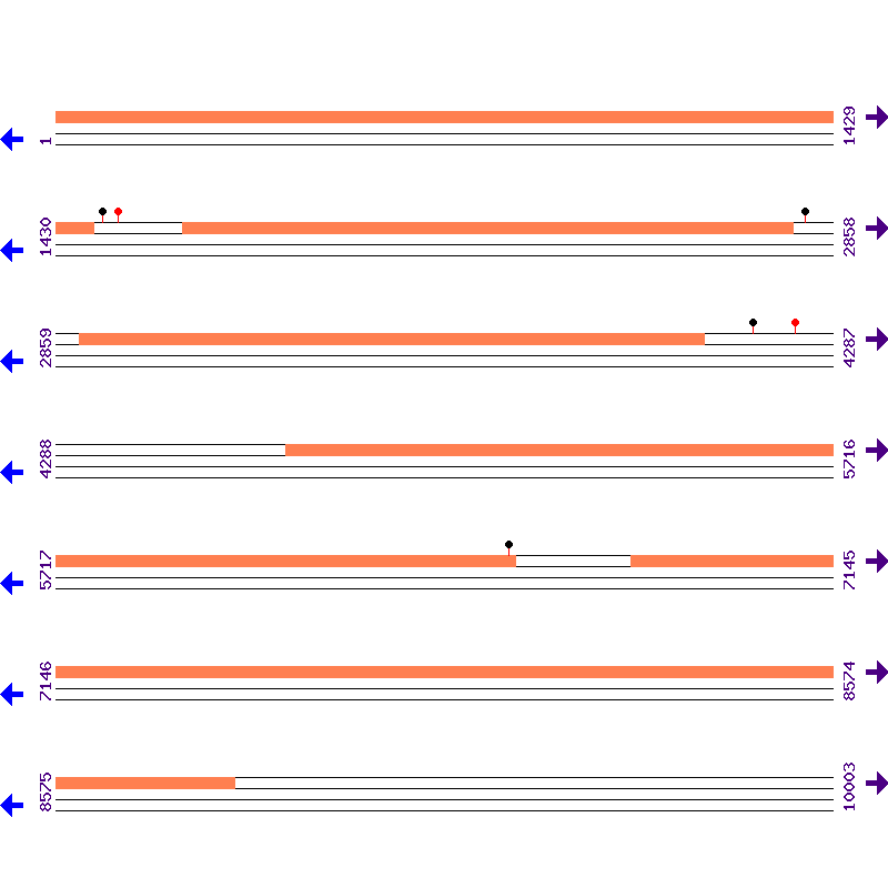 Genome View