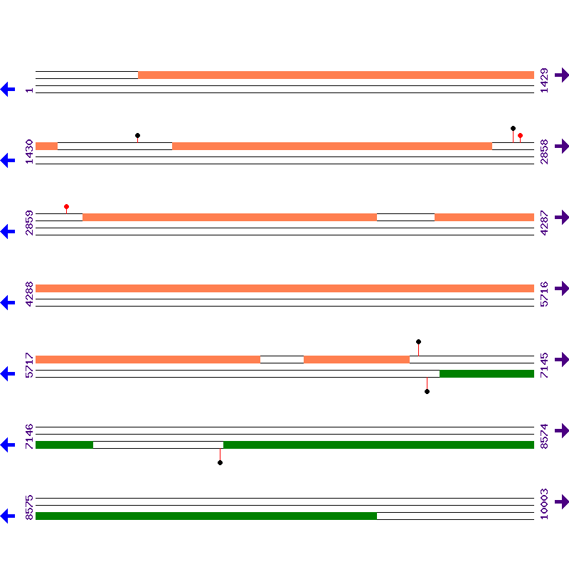 Genome View