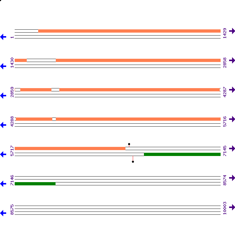 Genome View