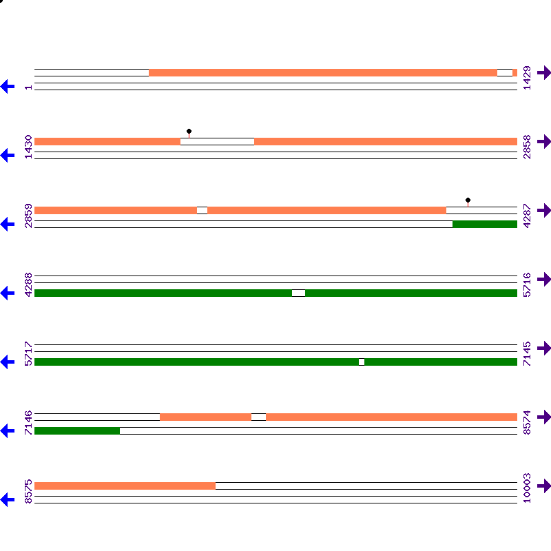 Genome View