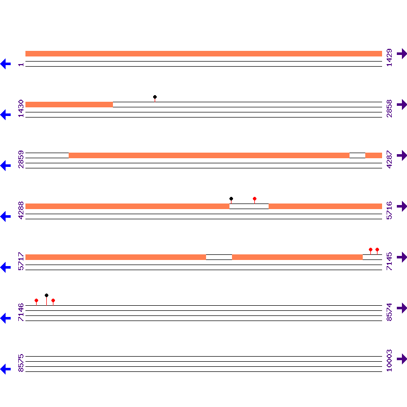 Genome View