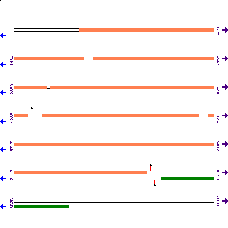 Genome View