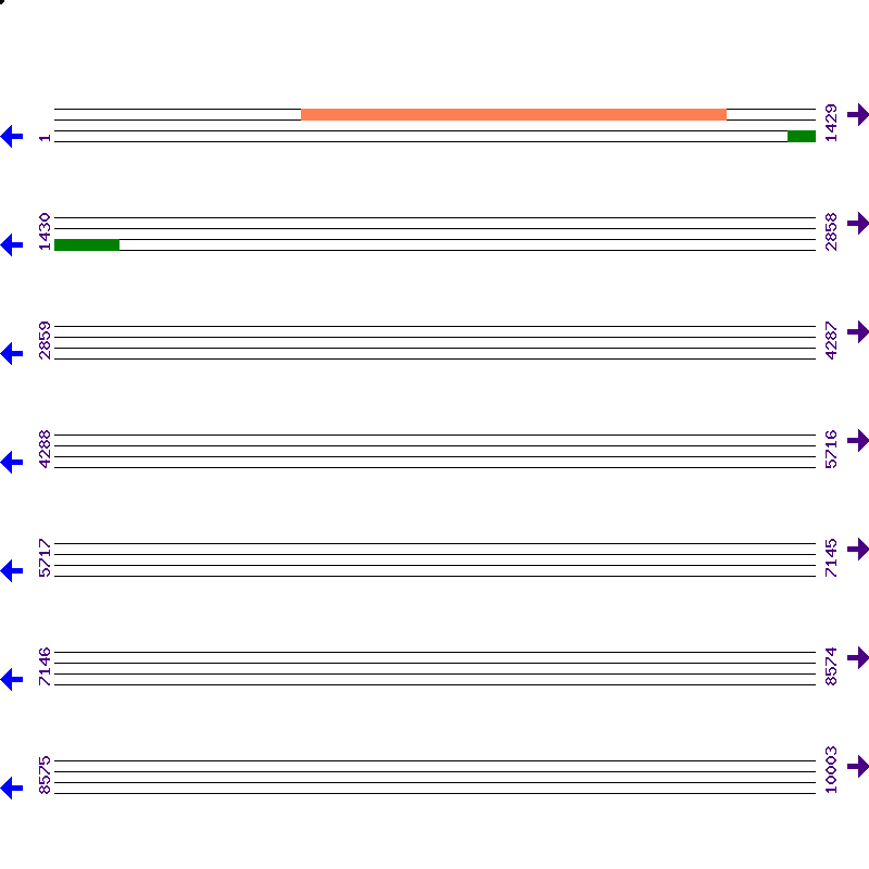 Genome View
