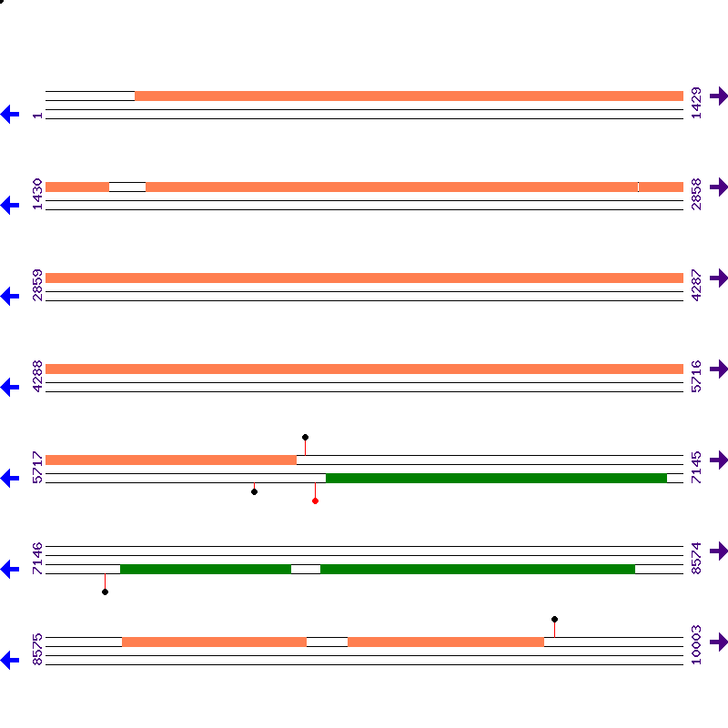 Genome View