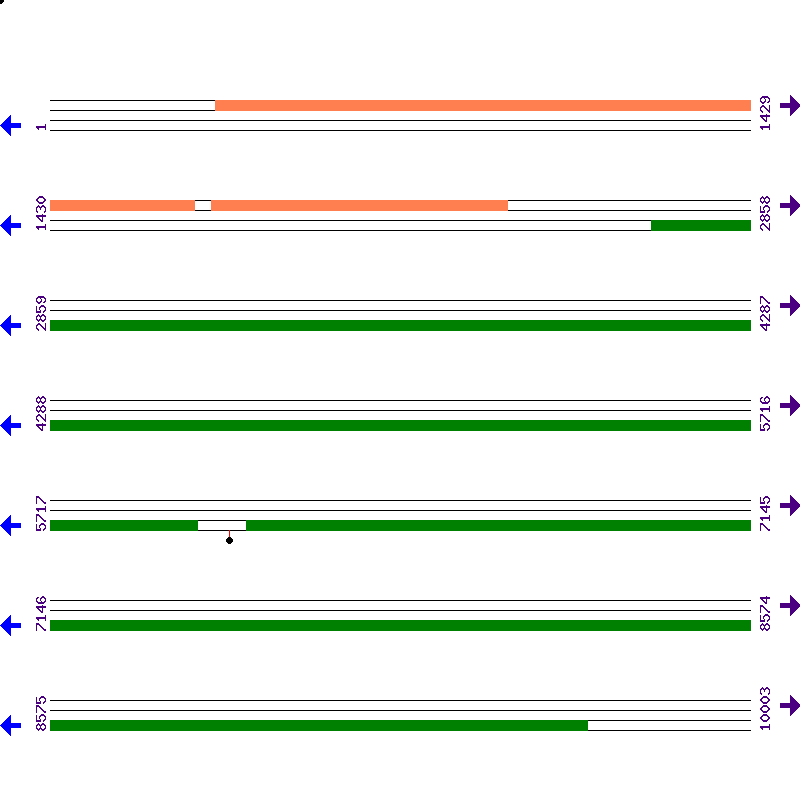 Genome View