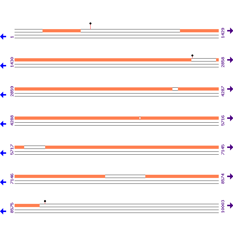 Genome View