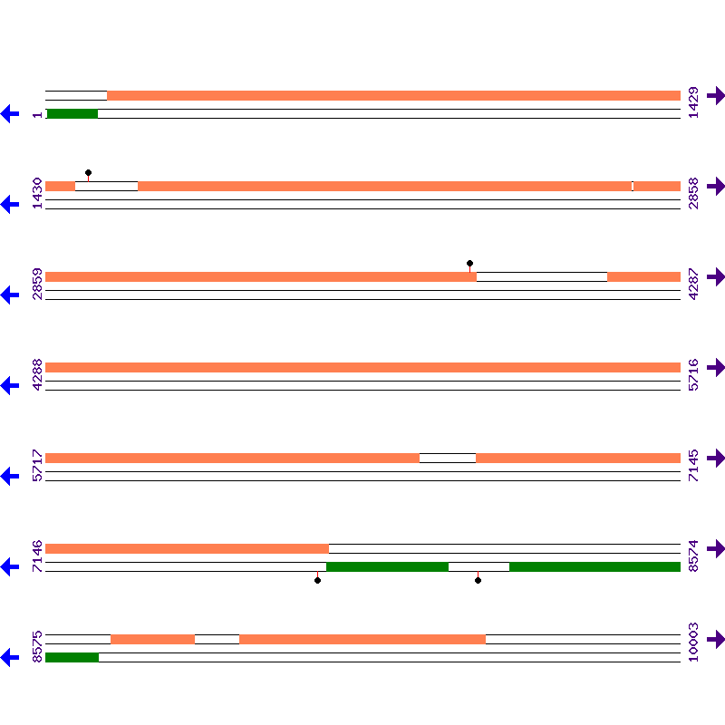 Genome View
