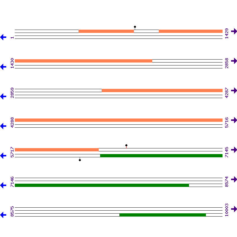 Genome View