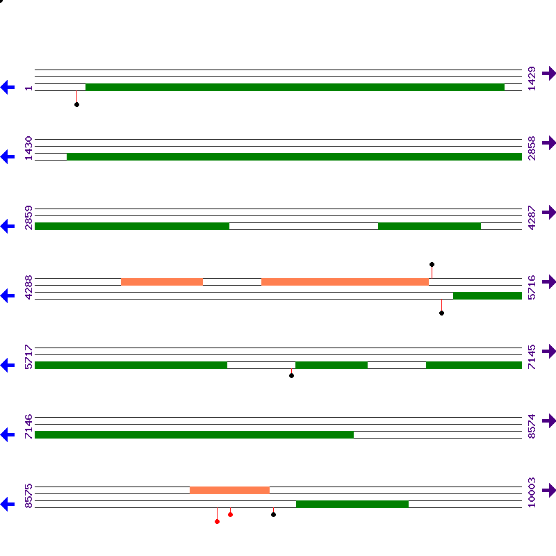Genome View