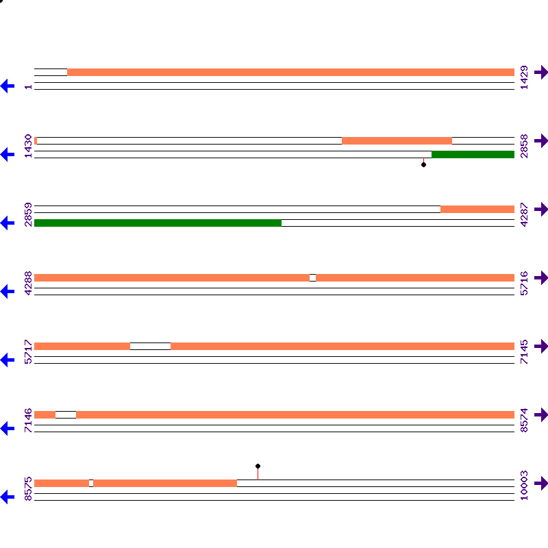 Genome View