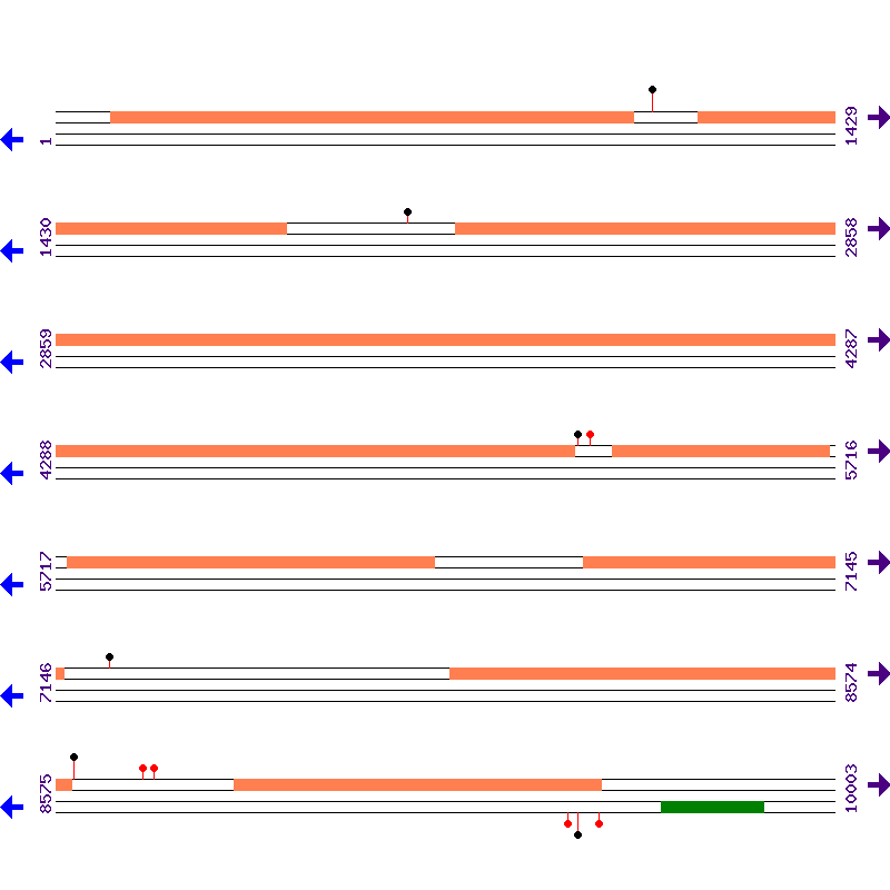 Genome View