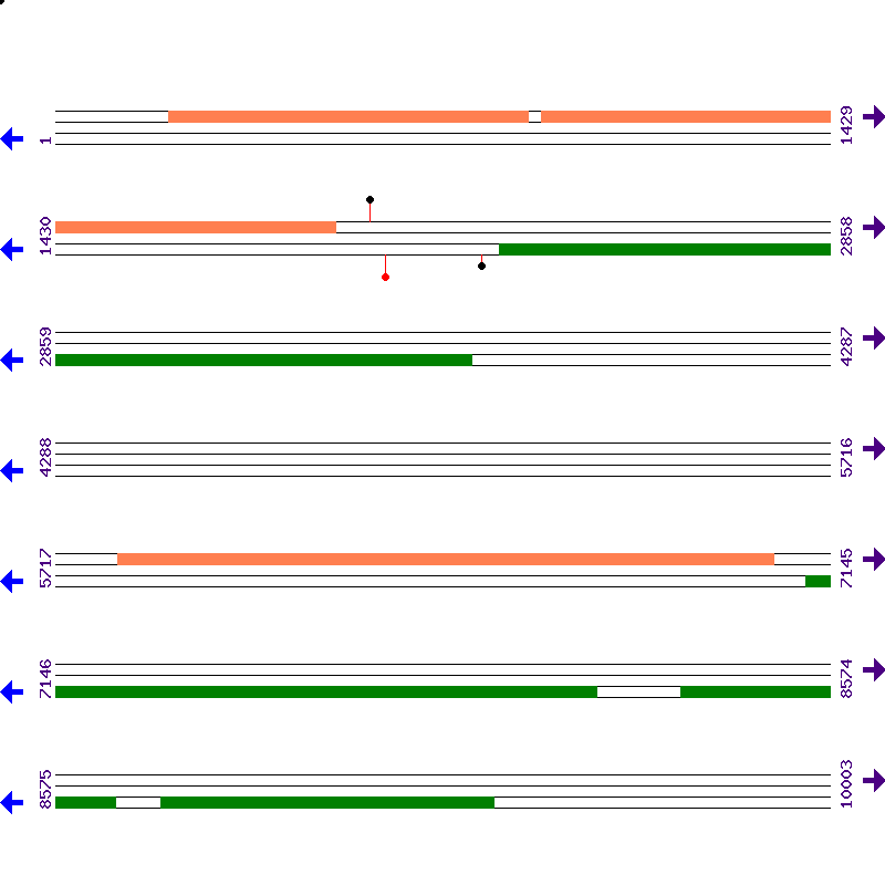 Genome View