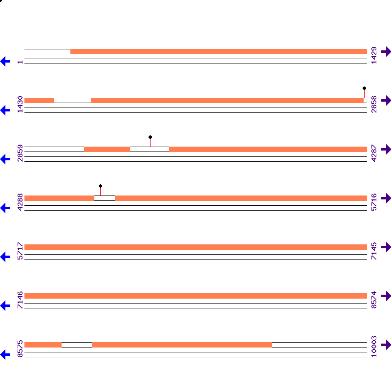 Genome View