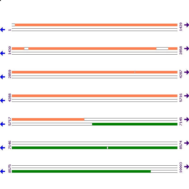 Genome View