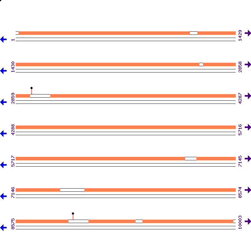 Genome View