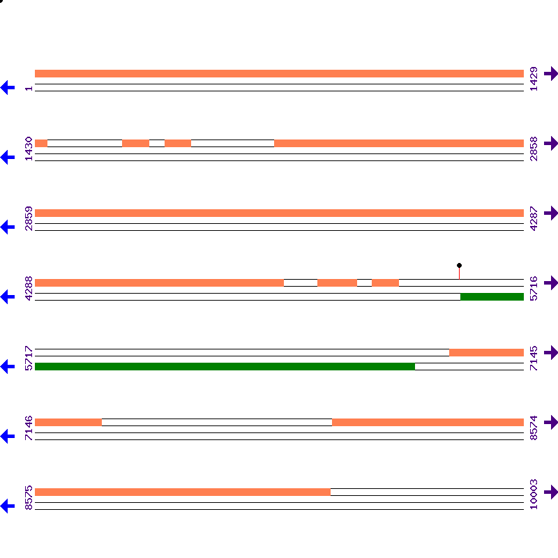 Genome View