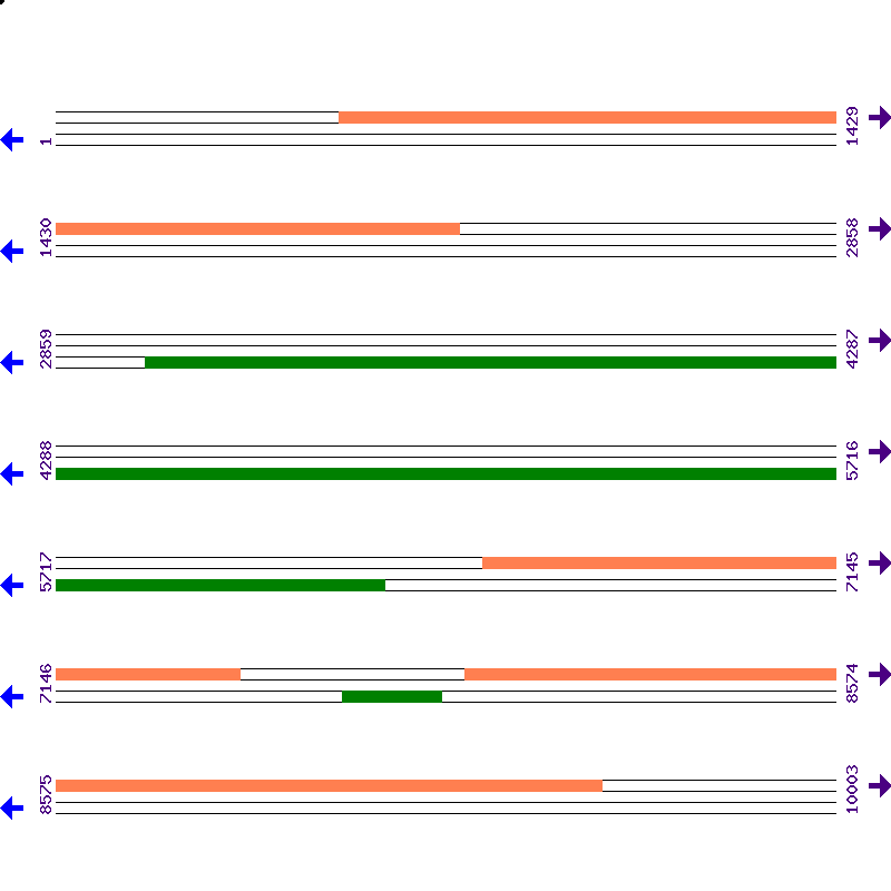 Genome View