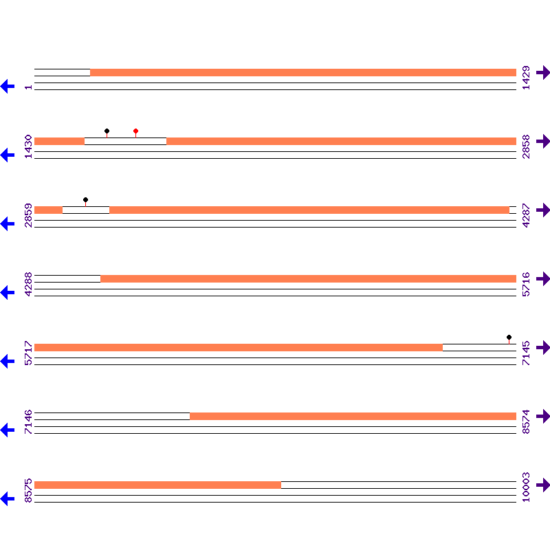 Genome View
