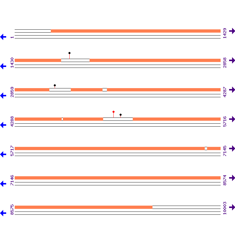 Genome View