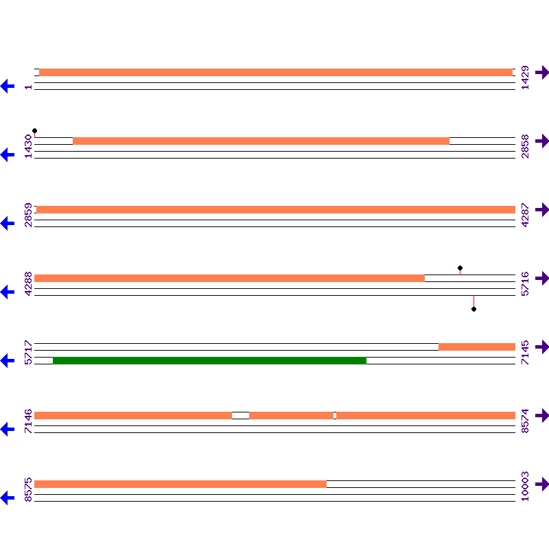 Genome View