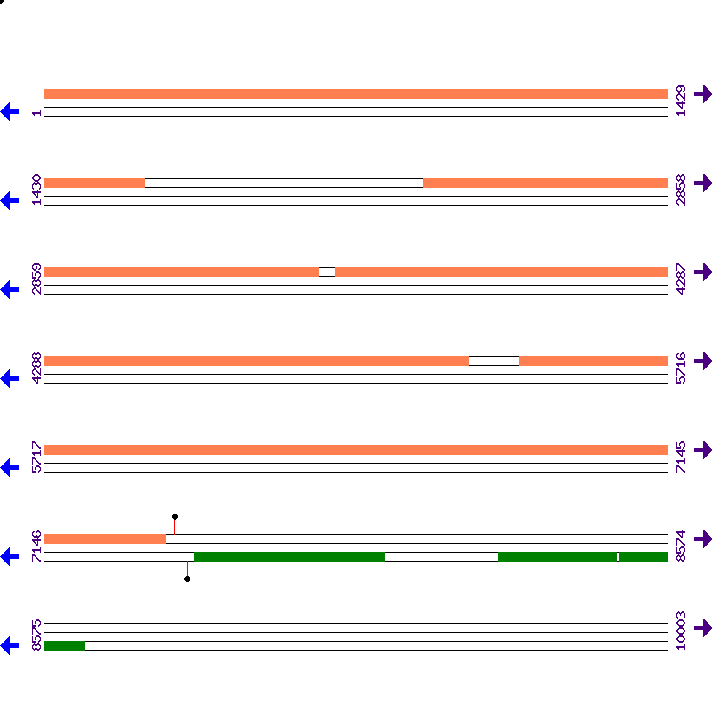 Genome View