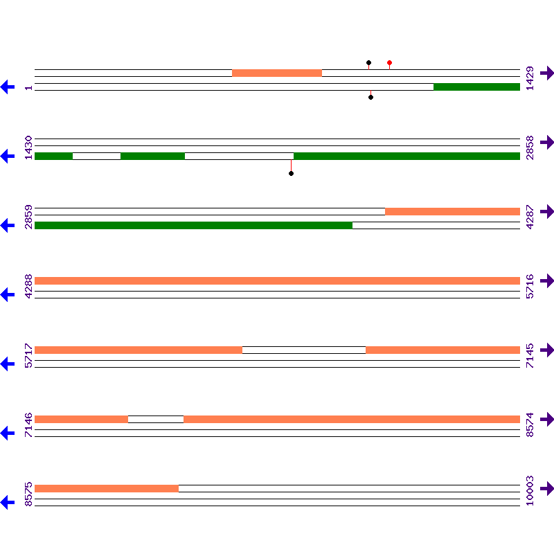 Genome View