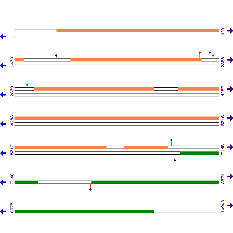 Genome View