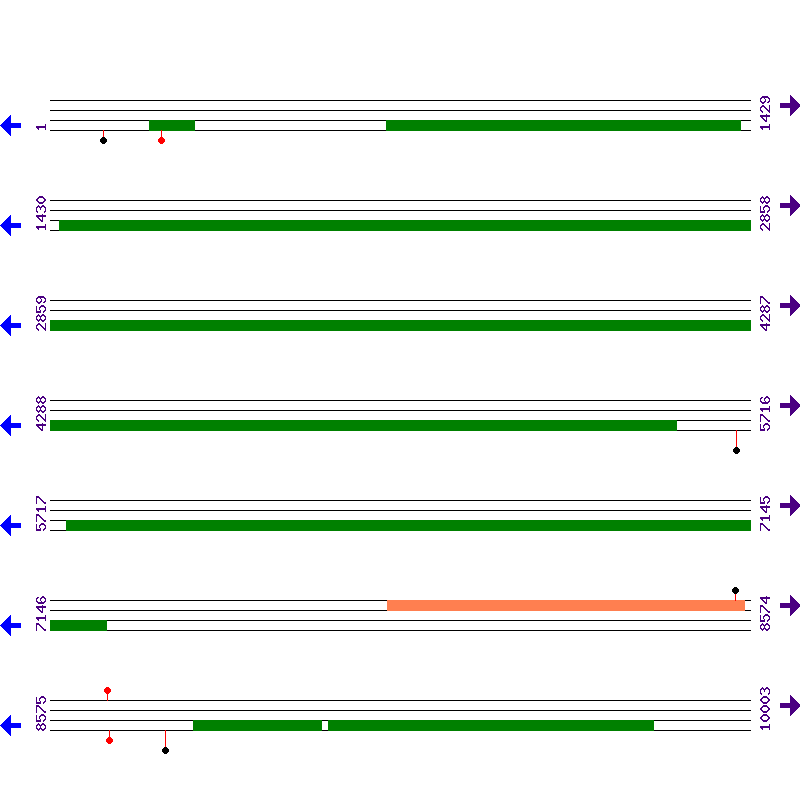 Genome View