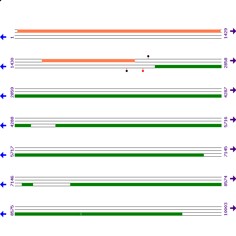 Genome View